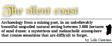 The silent coast